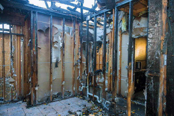 Professional Smoke Damage Removal technician working in Goleta, CA